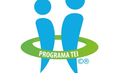 Programa TEI